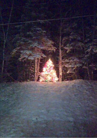 Wallagrass, Maine (Date unknown) -- A Christmas tree sits on the property of Chris and Becky Toussaint of Wallagrass. (Contributed photo)