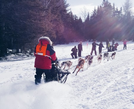 Luc Gaudreau of St. Denis de Brompton, Quebec takes off out of the race chute at the beginning of Saturday's 70-mile competition in the Wilderness Sled Dog Races near Greenville. (Courtesy Meghan Agrell)