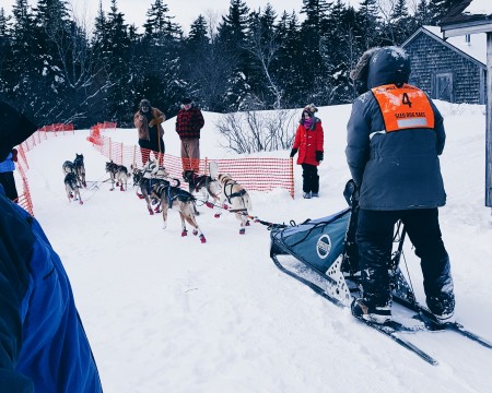 David Boyer of Quebec passes through the checkpoint at West Branch Pond camps during Saturday's 70-mile competition in the Wilderness Sled Dog Races near Greenville. (Courtesy Meghan Agrell)