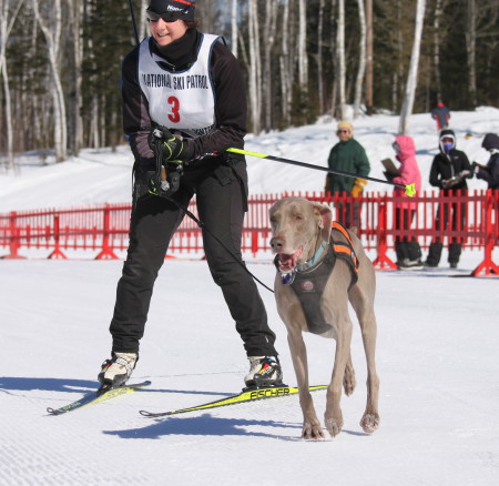Anne O'Donnell crosses the finish line during one of the skijoring races at Fort Kent Outdoor Center, Sunday, March 5. (Don Eno | SJVT/FhF)