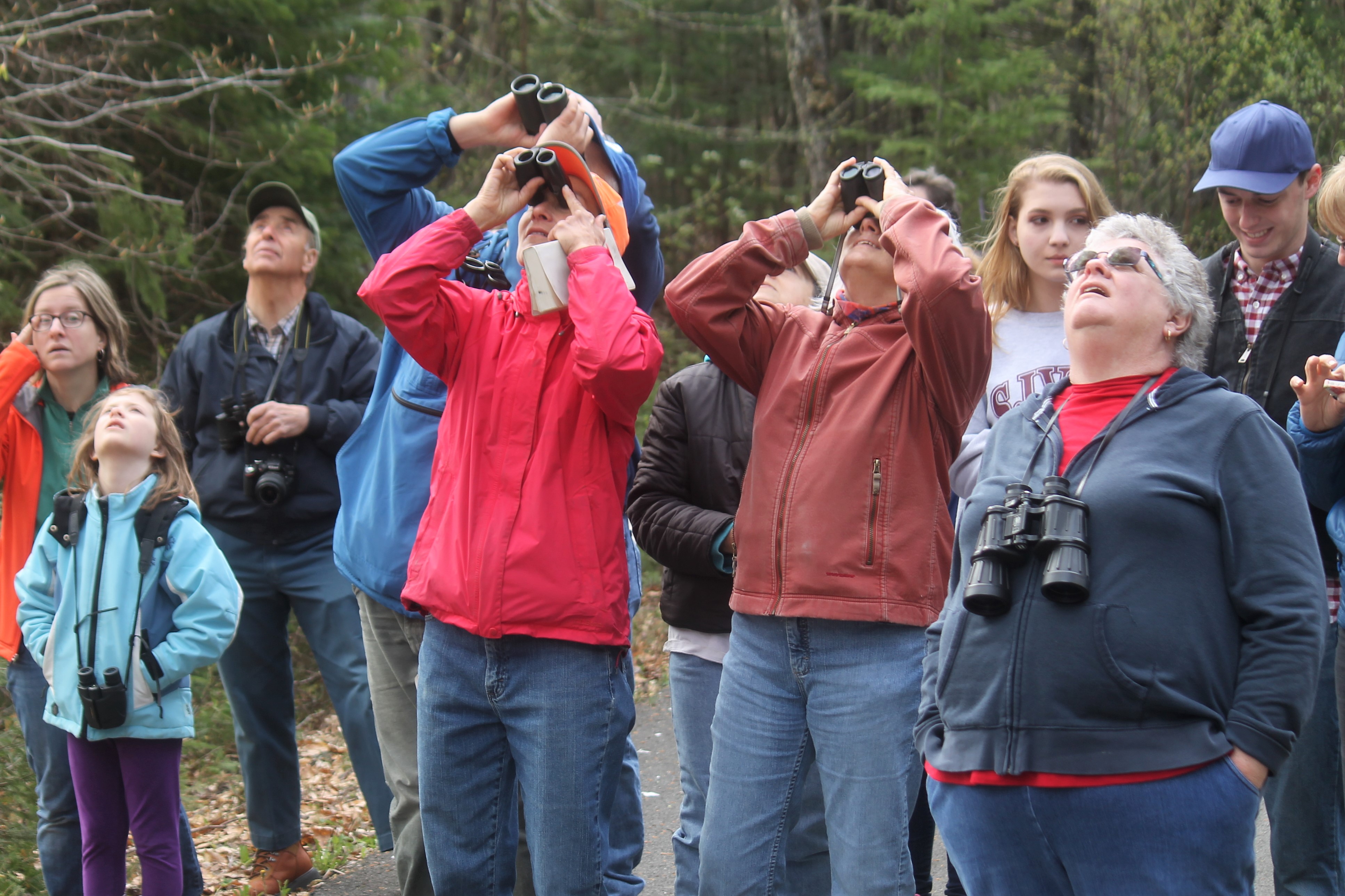 ‘Bird nerds’ rewarded with clear skies, multiple sightings in Fort Kent