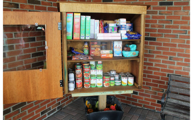 Local Girl Scout builds outdoor food pantry to help feed hungry - Fiddlehead Focus