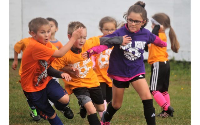 pee wee soccer pittsfield township