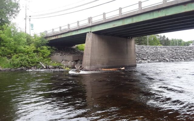Fort Kent wants dead tree removed from river after tubers nearly died - Vimarsana News